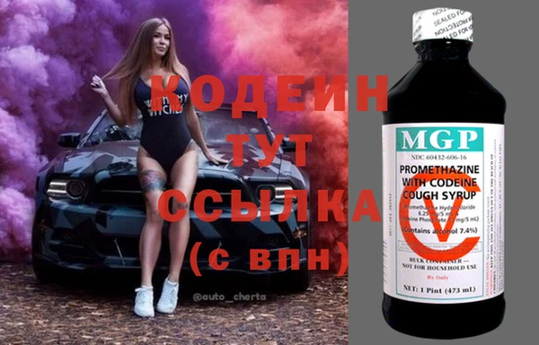 прущий лед Елизово