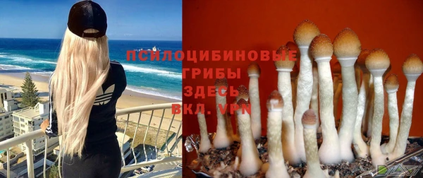 экстази Елабуга