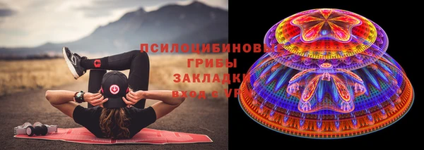 прущий лед Елизово