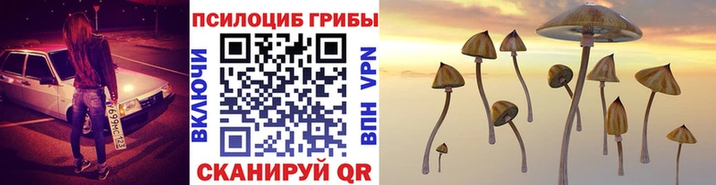 Купить где  Снежинск  Галлюциногенные грибы мухоморы 